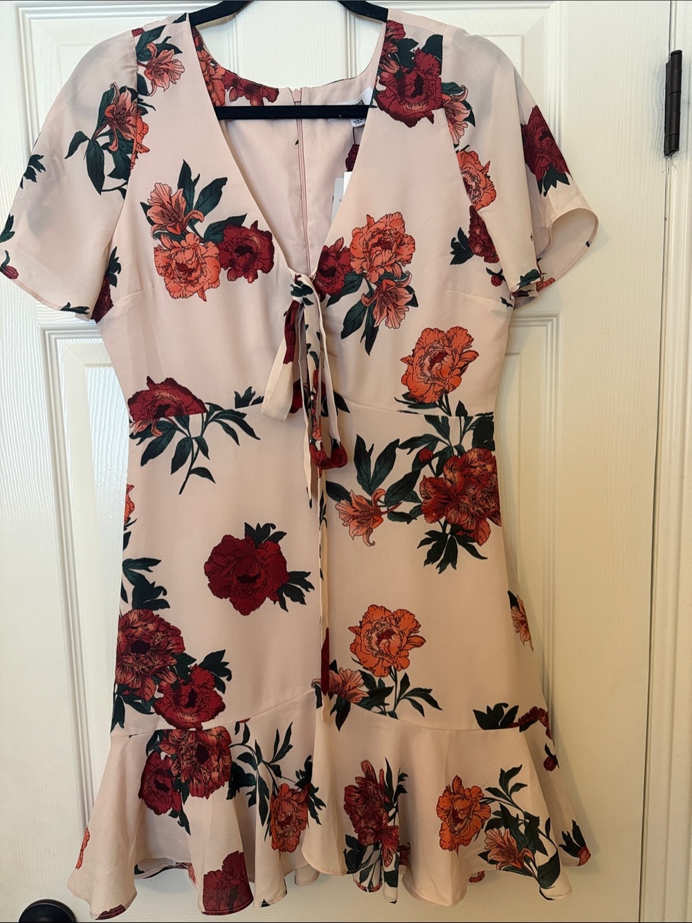 BB Dakota Blush Floral Tie-Front Short Dress with Red, Pink & Coral Blooms